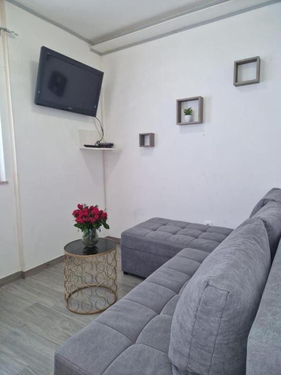 Apartment Frane *